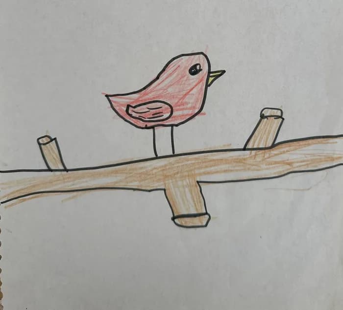 A child’s felt-tip drawing of a bird on a branch